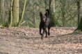 /album/fotogallerij/img-1222-kopie-jpg/